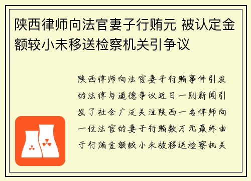 陕西律师向法官妻子行贿元 被认定金额较小未移送检察机关引争议